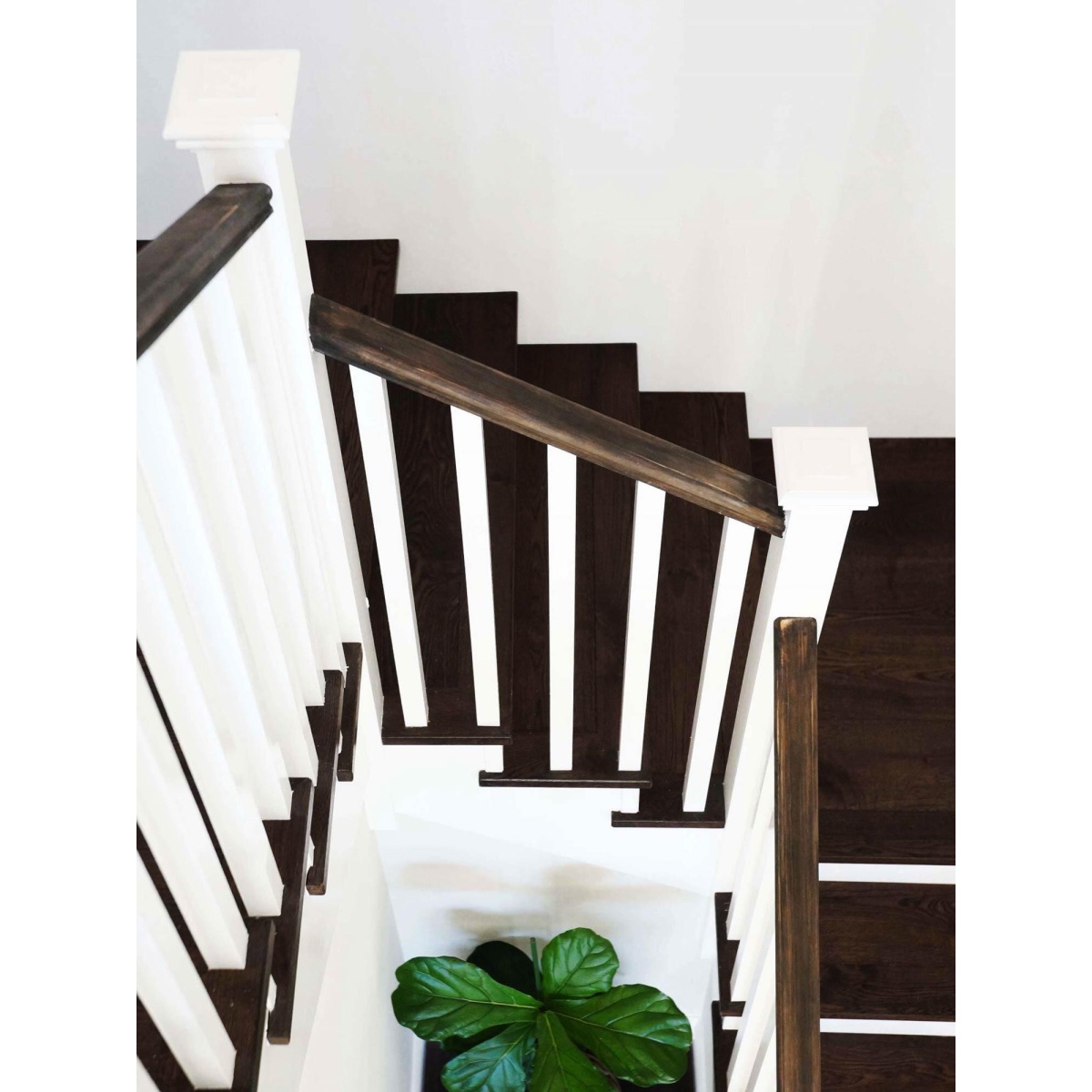 Dark Walnut - Wide Plank (220mm) - Engineered Timber Flooring