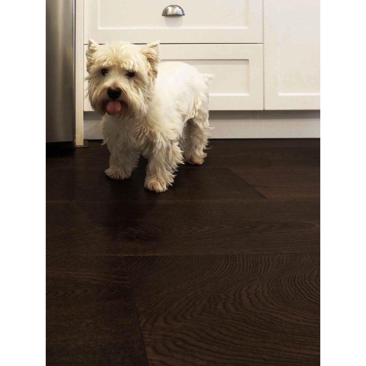 Dark Walnut - Wide Plank (220mm) - Engineered Timber Flooring